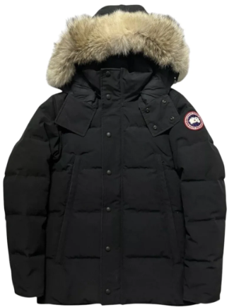 Canada Goose Jacka Svart