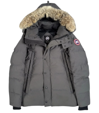 Canada Goose Jacka Grå